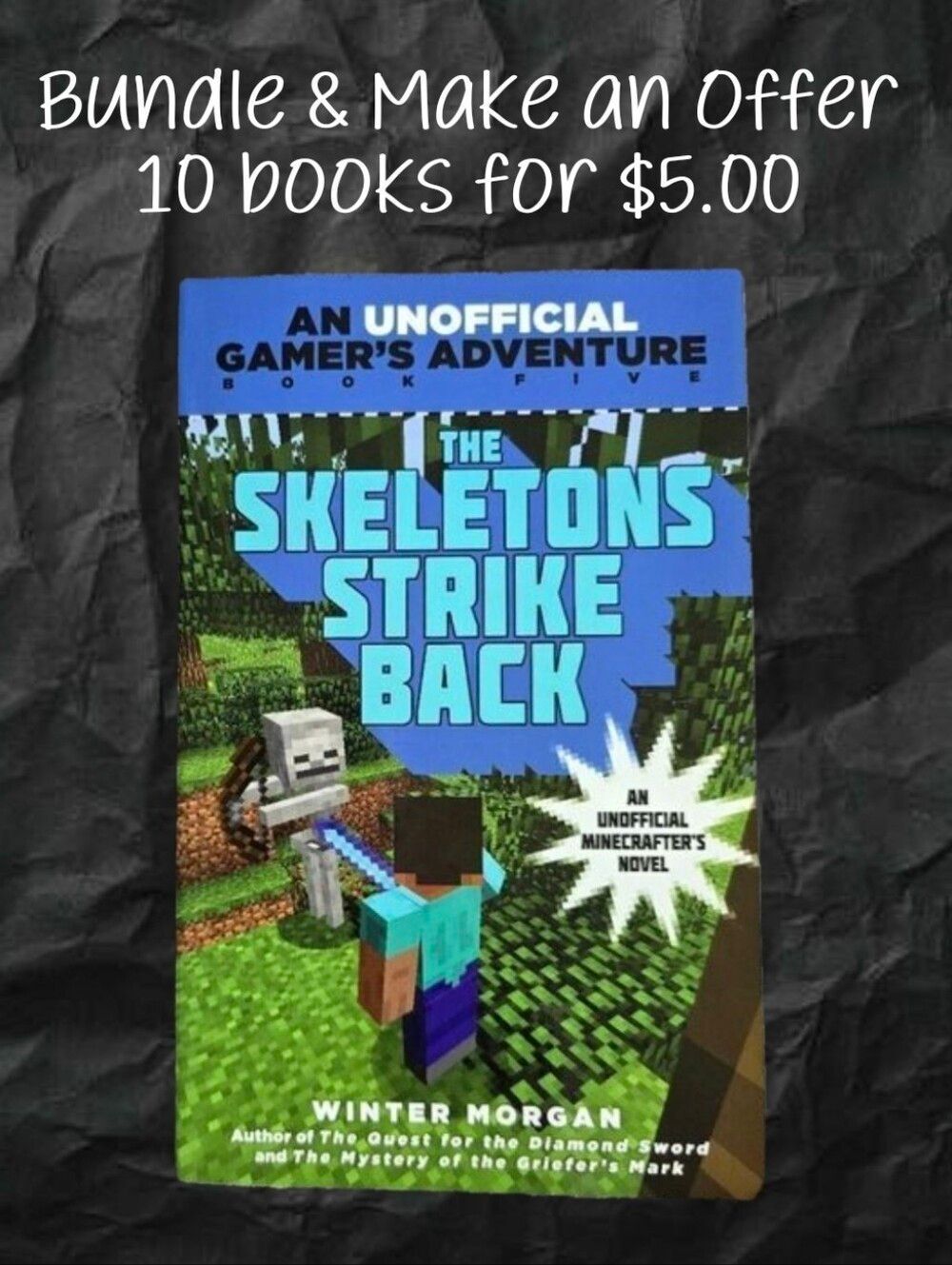 The Skeletons Strike Back Minecraft Book Kids Teen Youth Young Adult Gamer